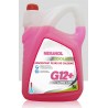 Koncentrat do chłodnic Coolant G12 5l.