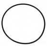 Oring 98,02*3,53