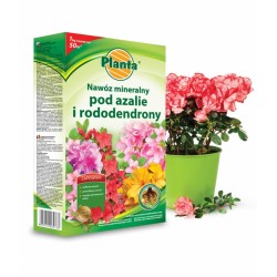 Nawóz azalie i rododendrony 1kg. Planta