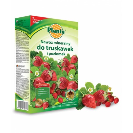 Nawóz do truskawek i poziomek 3kg. Planta