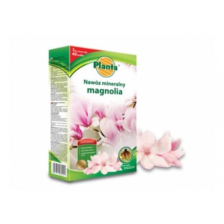 Nawóz do magnolii 1kg. Planta