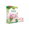 Nawóz do magnolii 1kg. Planta