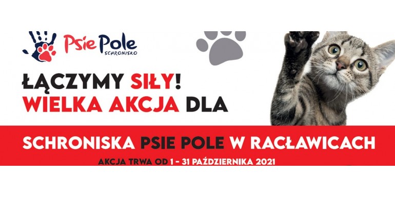 Akcja pomocy dla Schroniska Psie Pole w Racławicach