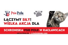Akcja pomocy dla Schroniska Psie Pole w Racławicach